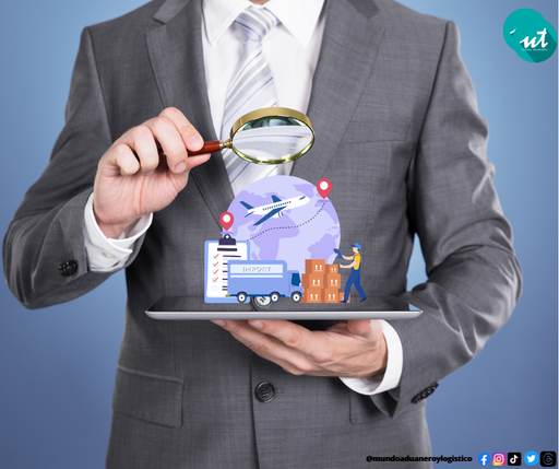 Diagnóstico y ejecución de auditorías de Comercio Exterior