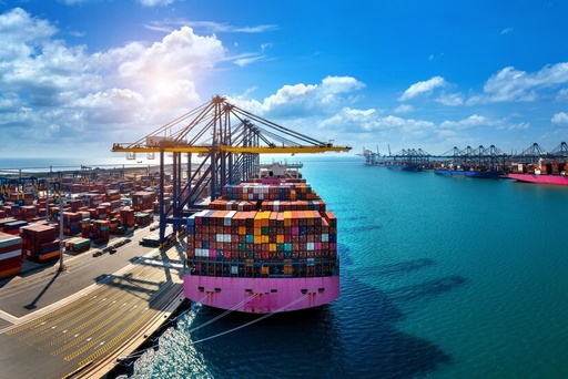 Actualización en materia de comercio exterior 2023